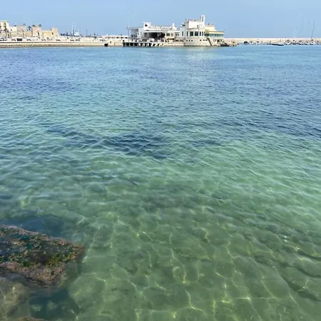 Botel Odissea Barca Per Sognare *